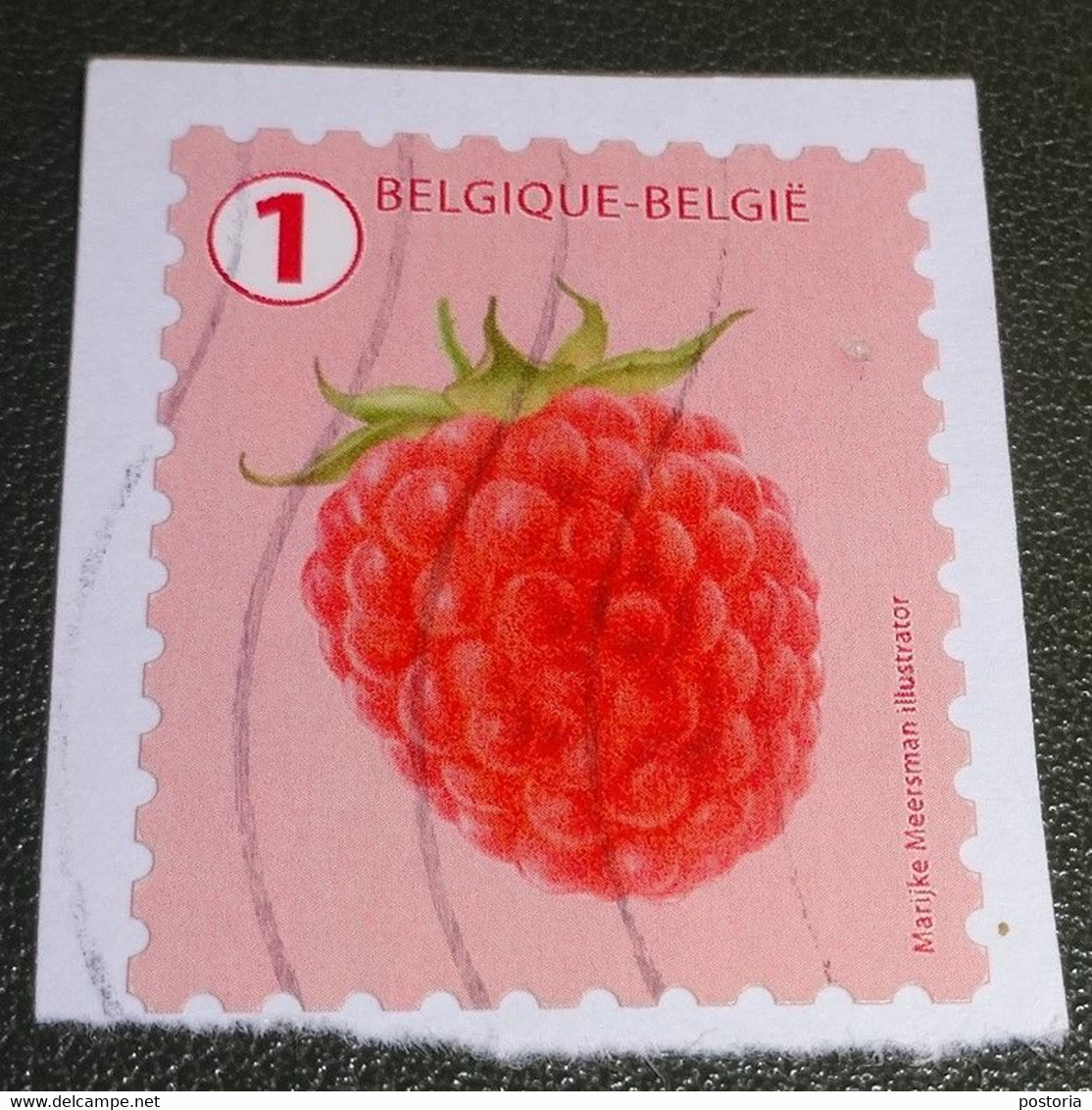 België - Michel - 4792  - 2018 - Gebruikt - Onafgeweekt - Used On Paper  -  Belgisch Fruit Eigen Kweek - Framboos - Usados