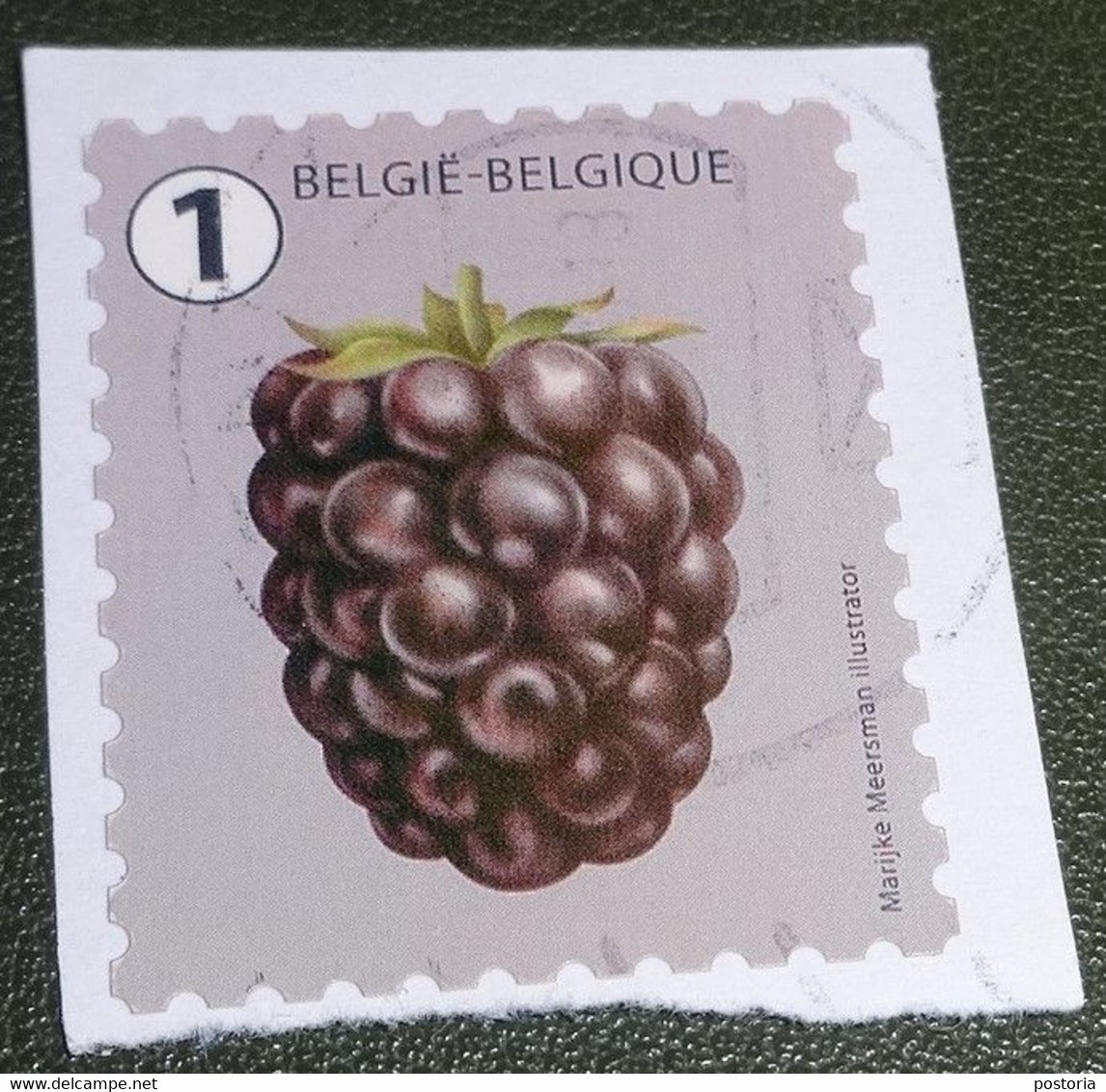België - Michel - 4792  - 2018 - Gebruikt - Onafgeweekt - Used On Paper  -  Belgisch Fruit Eigen Kweek - Braambes - Oblitérés