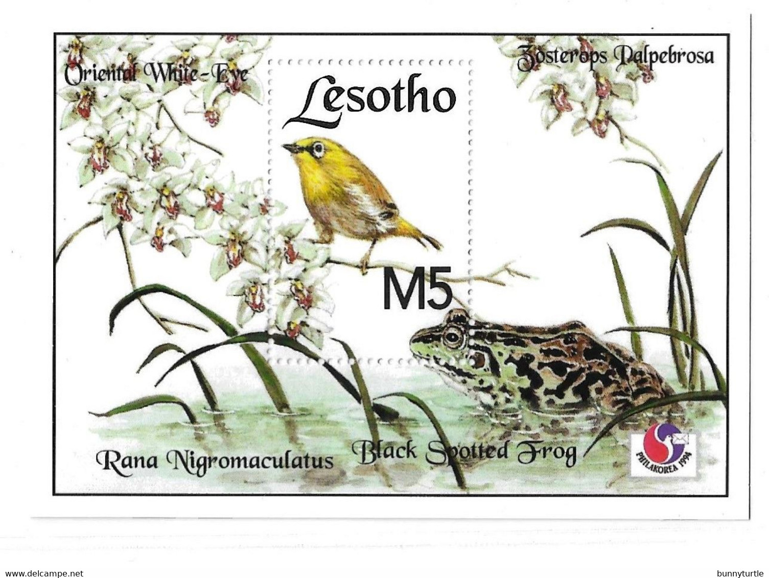 Lesotho 1994 Philakorea Birds Frog S/S MNH - Lesotho (1966-...)