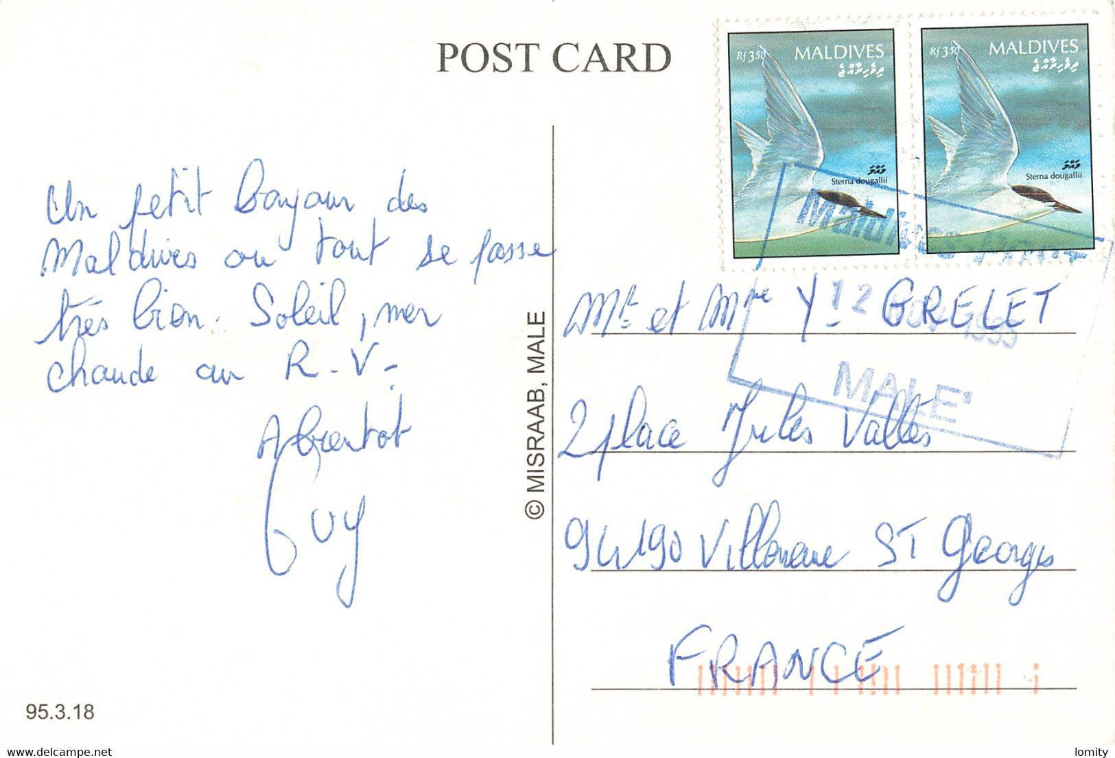 Maldives CPM Vues + Timbre Paire Attachée Timbres Oiseau Sterna Dougallii Sterne Cachet 1995 - Maldives