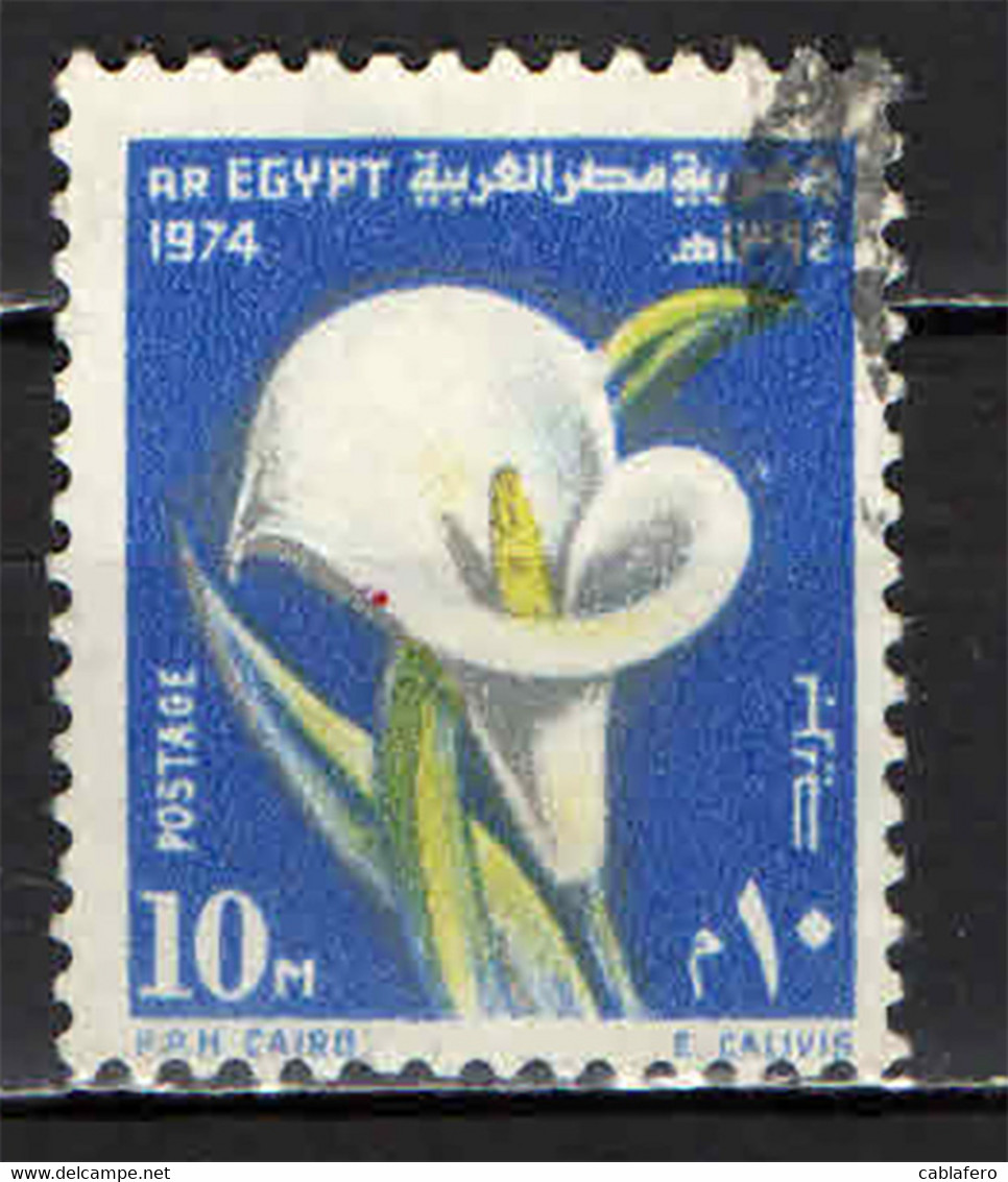 EGITTO - 1974 - ARUM - USATO - Oblitérés