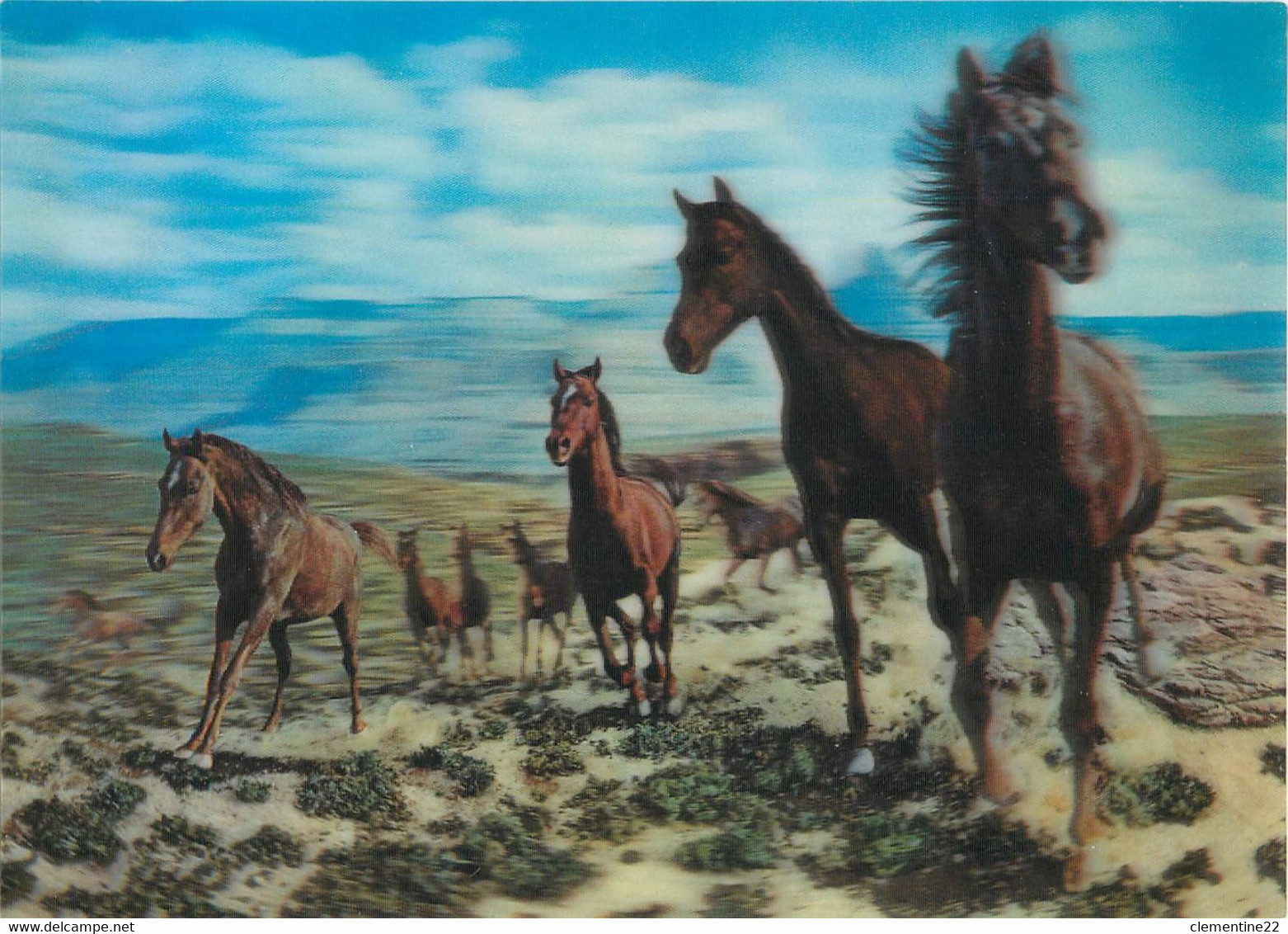 CARTE STEREOSCOPIQUE /Lenticulaire/ 3D /  REF SSP 150 HORSES CHEVAUX  ( Scan Recto Et Verso ) - Cartes Stéréoscopiques