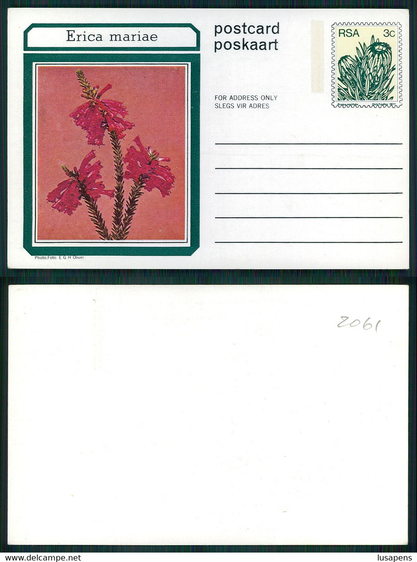 [IP # 02061 ] INTEIRO POSTAL STATIONERY - ERICA MARIAE RSA 3C - Otros & Sin Clasificación