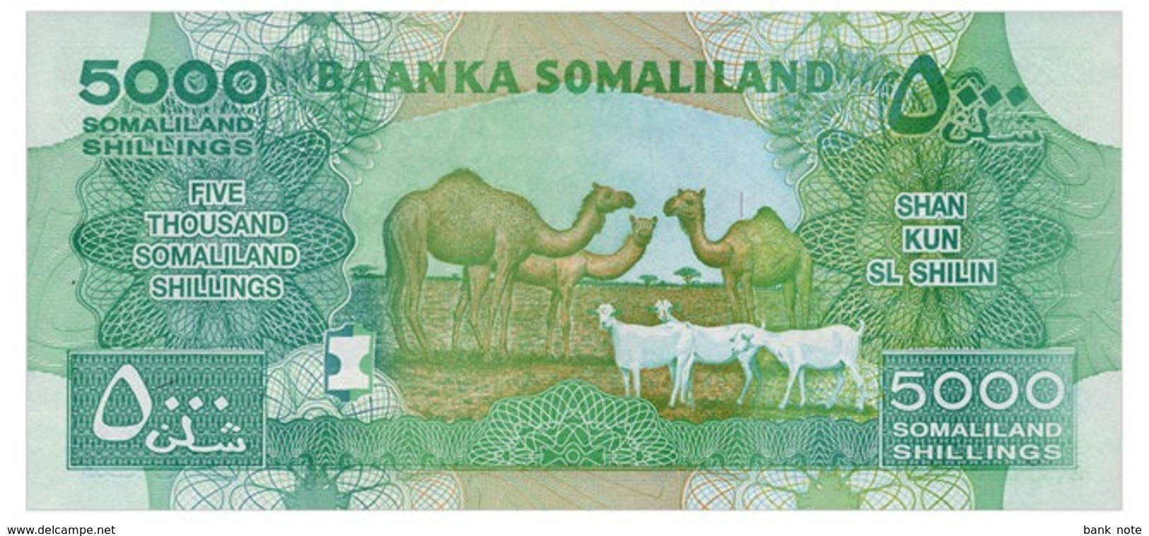 SOMALILAND 5000 SHILLINGS 2011 Pick 21 Unc - Somalia