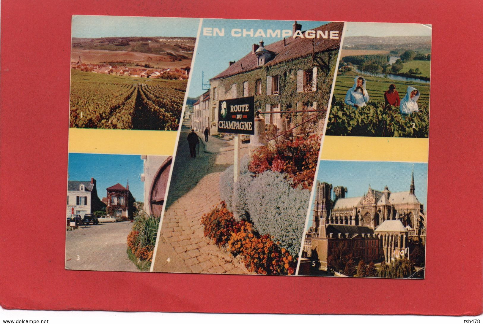 EN CHAMPAGNE----Multi-vues--voir 2 Scans - Champagne - Ardenne