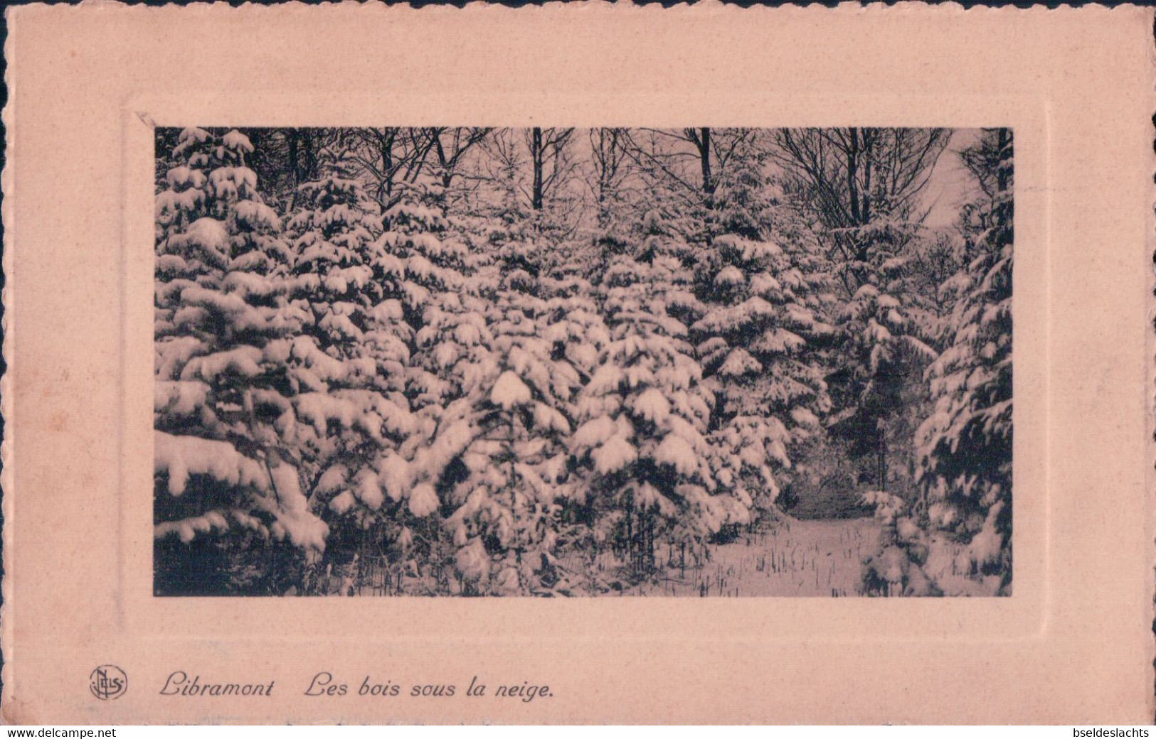 Libramont Les Bois Sous La Neige - Libramont-Chevigny