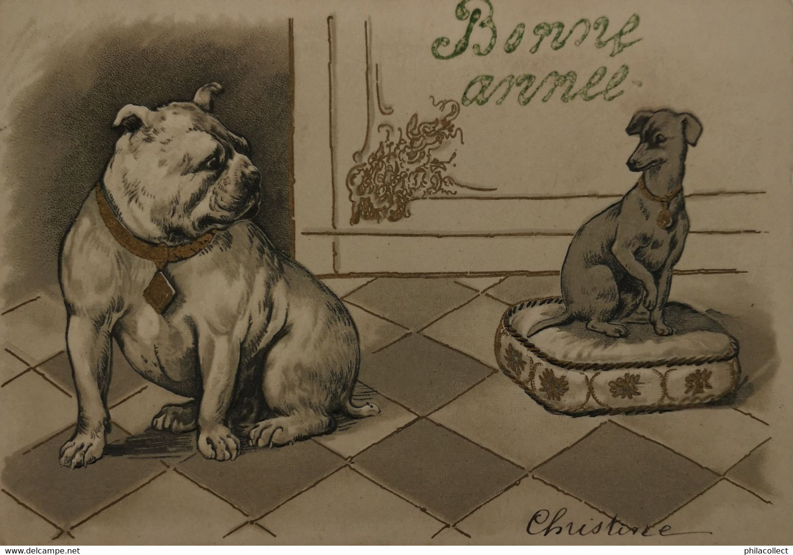 Div. Honden - Dogs - Chien (Tekkel - Dachshund And Bull) 1906 Embossed - "Prage - Dogs