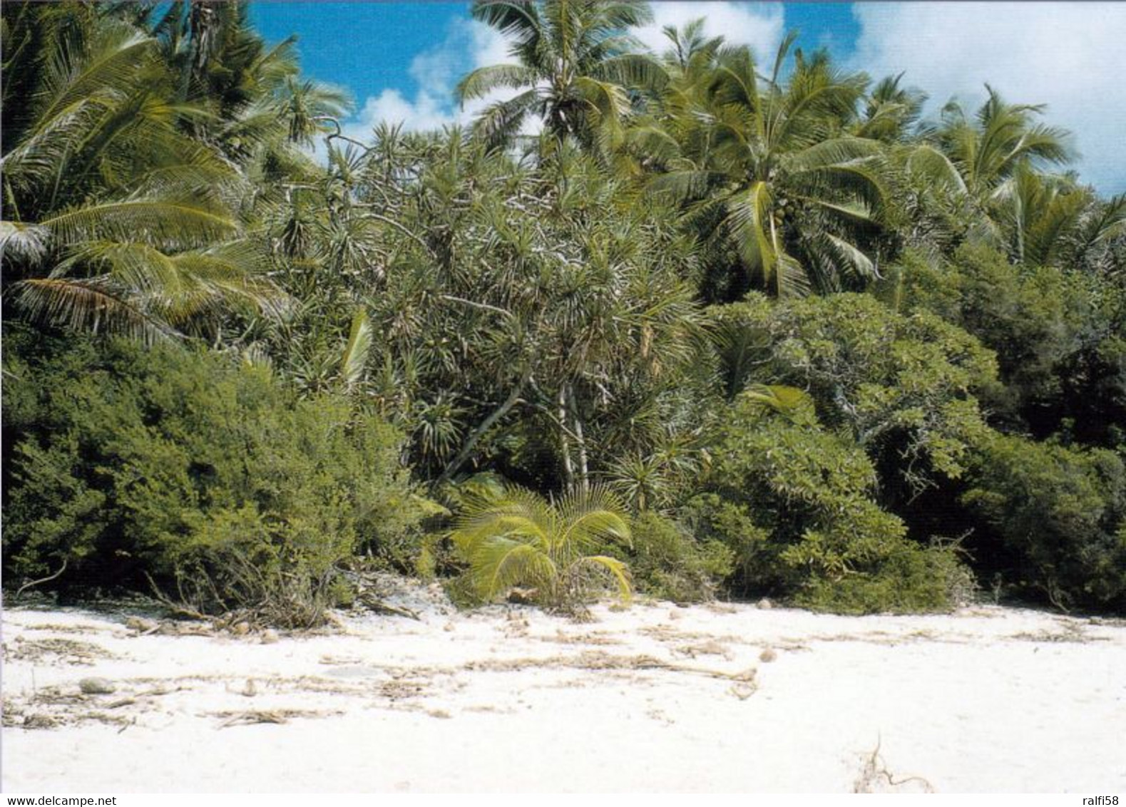 4 AK Henderson Island - Die Insel Gehört Zu Den Pitcairn Islands Und Ist Seit 1988 UNESCO Weltnaturerbe * - Pitcairn Islands