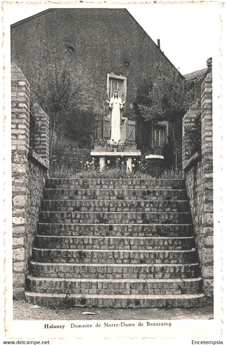 CPA-Carte Postale  Belgique Halanzy  Domaine De Notre Dame De Bauraing VM53940 - Aubange