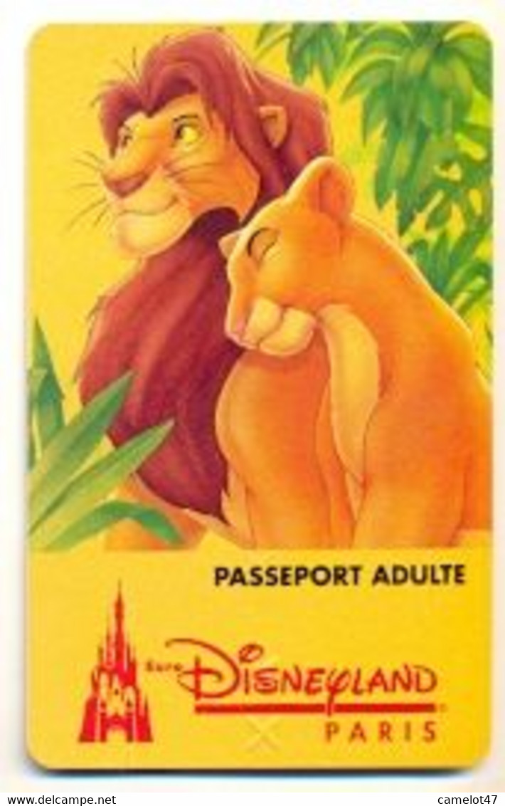 Disneyland Paris Ticket, Usagé, Used Condition. # Dtp-4 - Disney-Pässe