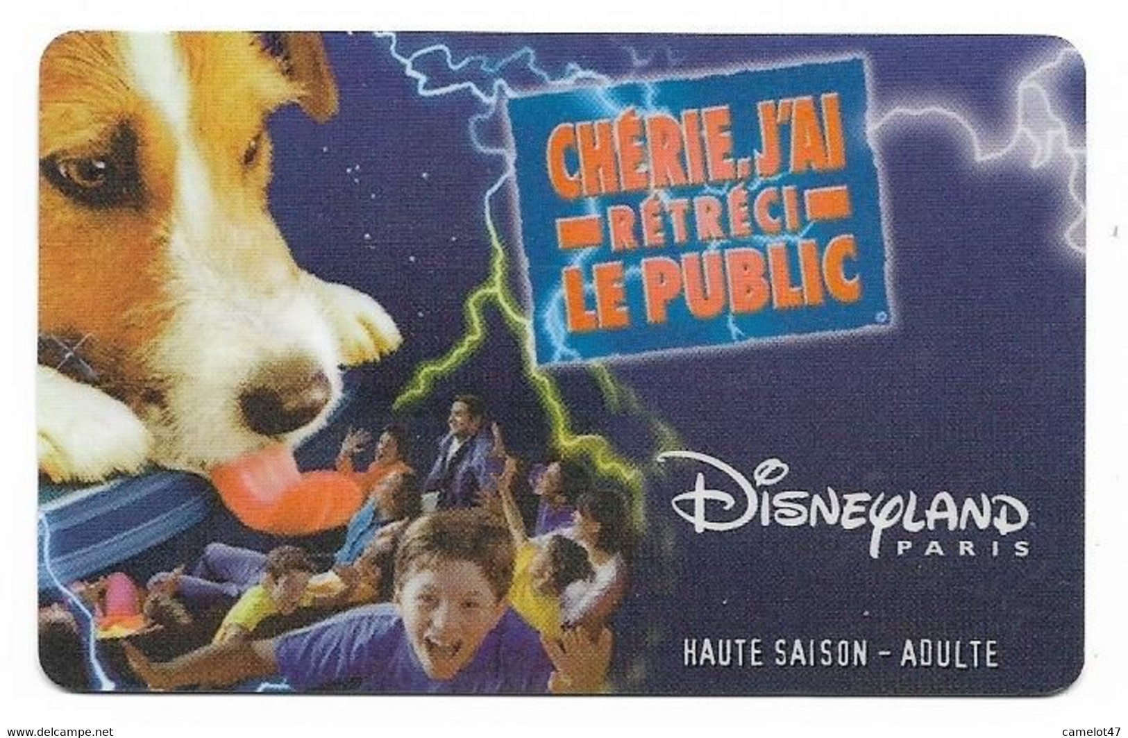 Disneyland Paris Ticket, Usagé, Used Condition. # Dtp-11 - Passeports Disney