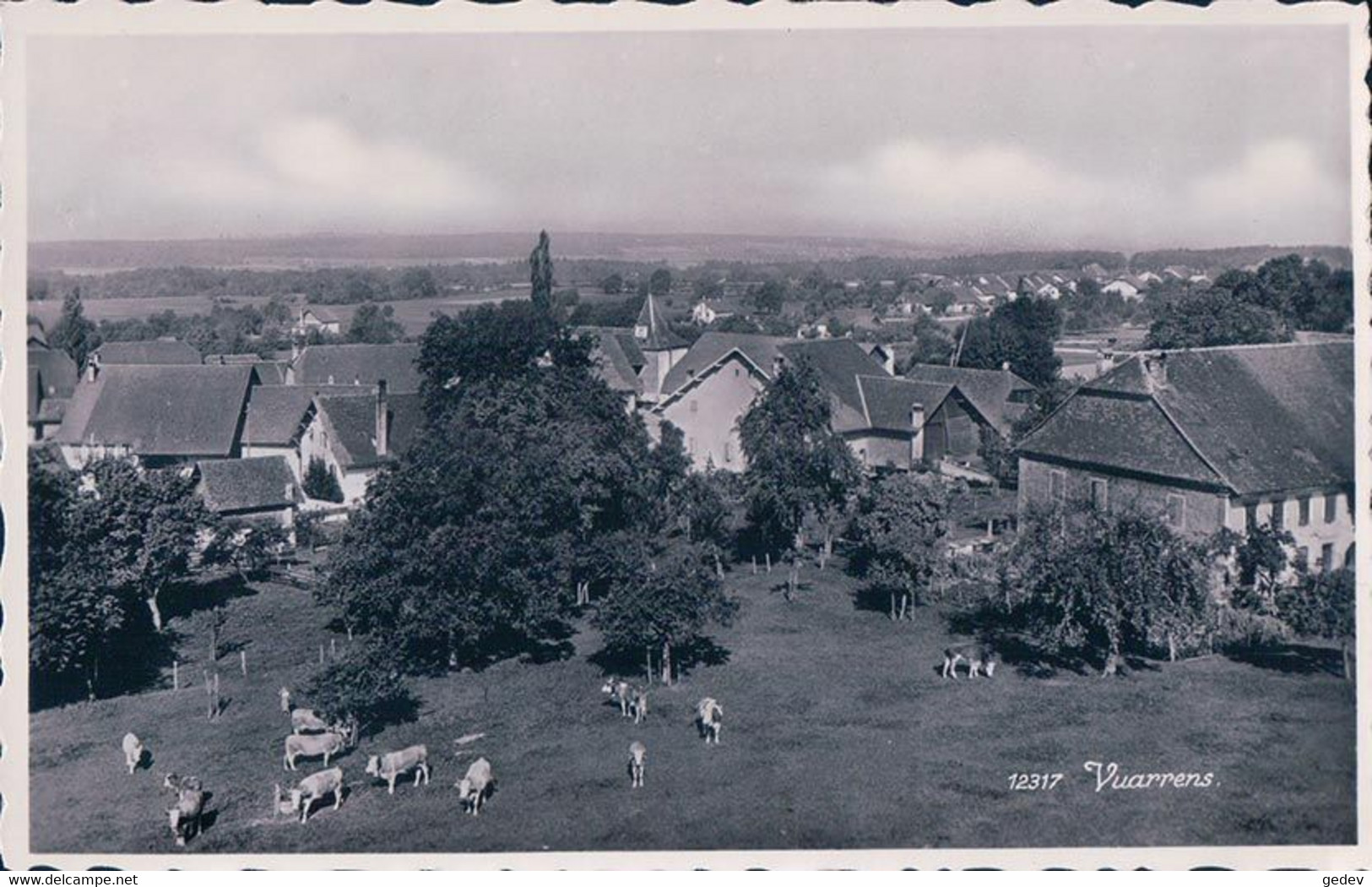 Vuarrens VD, Village Et Troupeau (12317) - Vuarrens