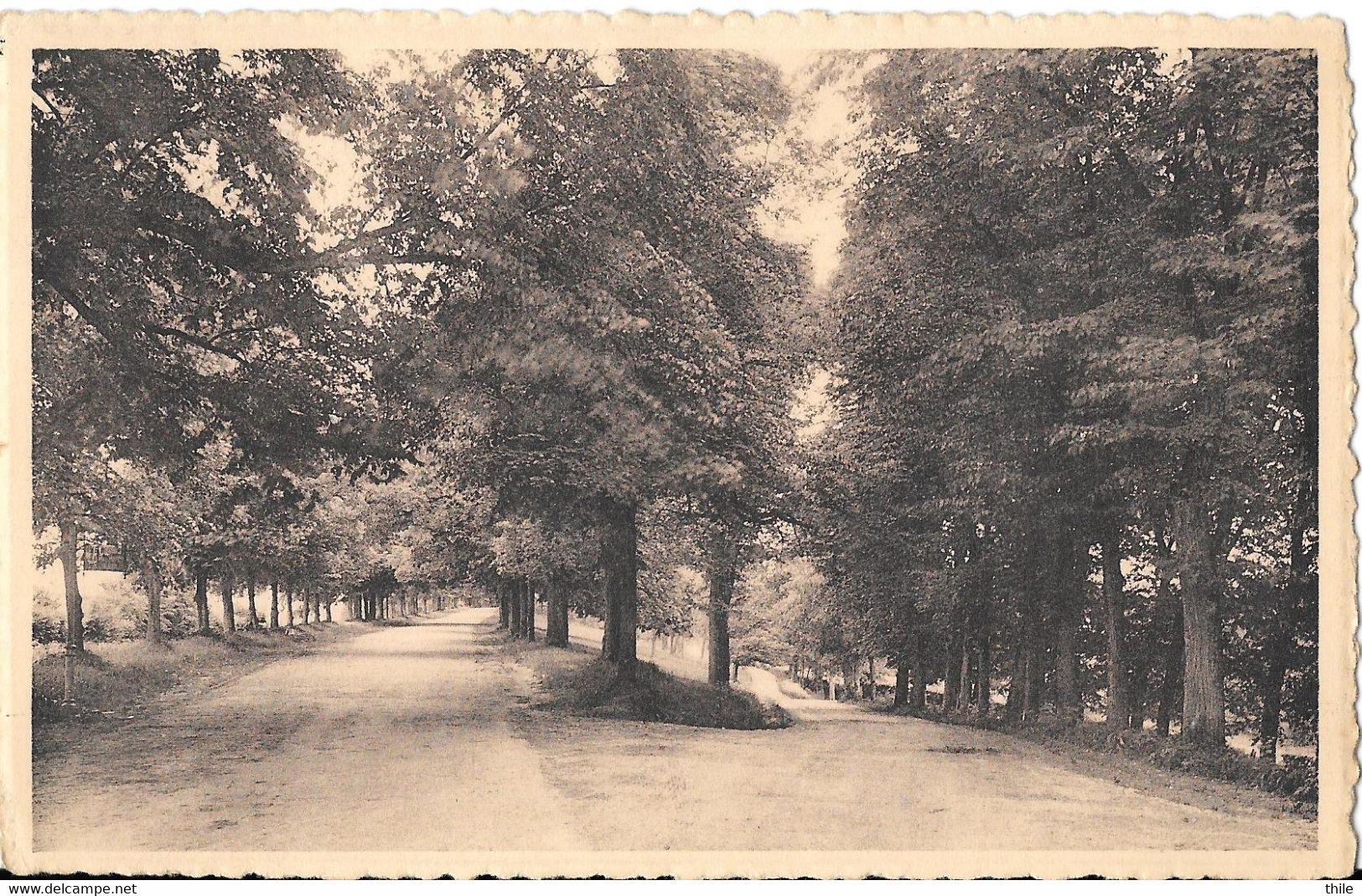 MARCHE-EN-FAMENNE - Promenade Du Monument - Marche-en-Famenne