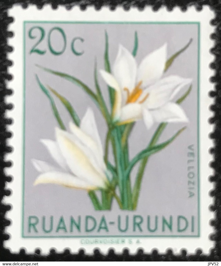 Ruanda-Urundi - C10/52 - MH - 1949 - Michel 135 - Inheemse Flora - Neufs