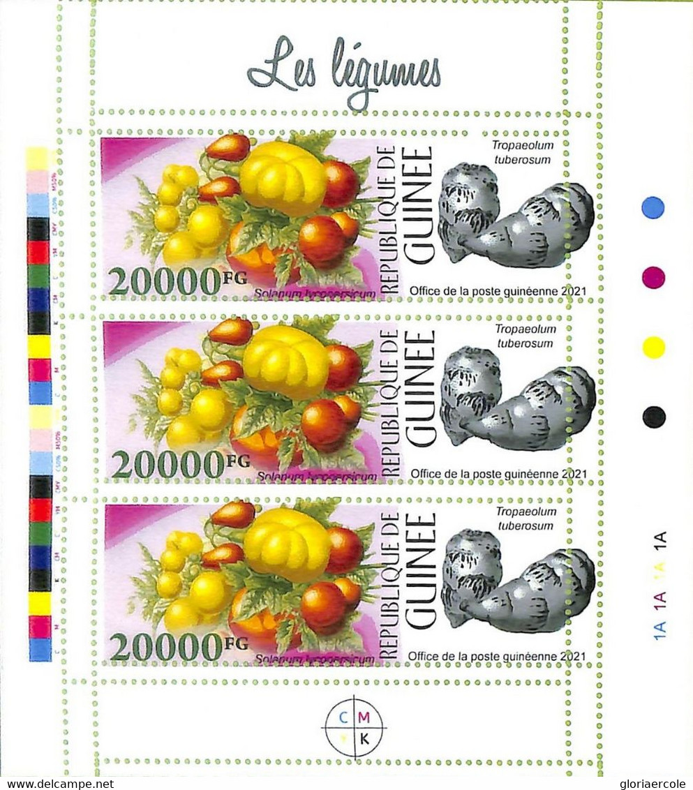 A8075 - REP.GUINEE - ERROR MISPERF  Stamp Sheet - 2021 Plants Legumes - Groenten