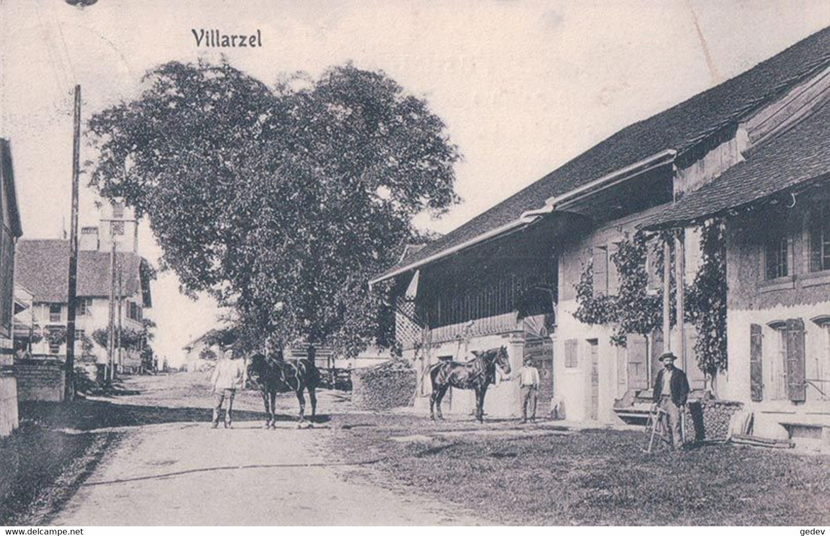 Villarzel VD, Fermes Et Chevaux (4542) - Villarzel