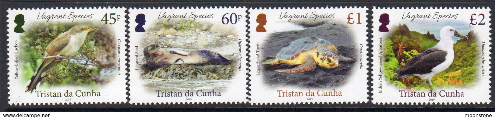 Tristan Da Cunha 2019 Vagrant Species, Birds Set Of 4, MNH - Tristan Da Cunha