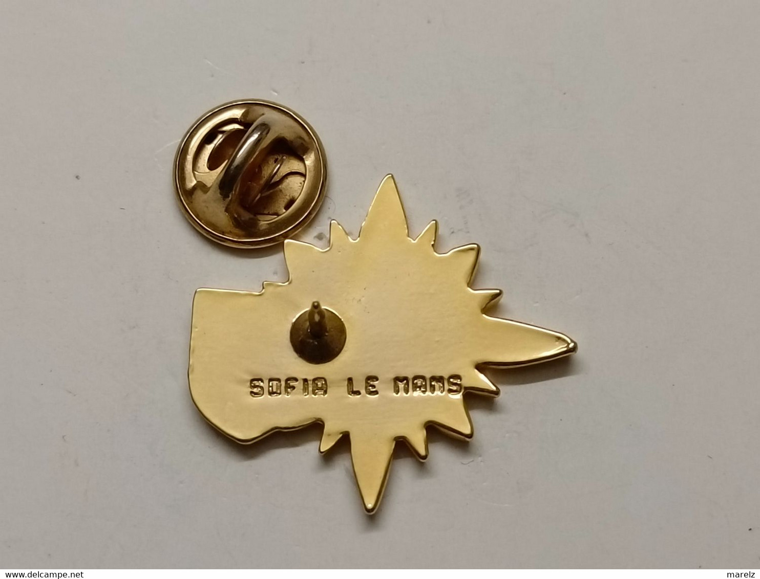 Pin's - 72 SARTHE Blason Armoiries DEFI LECTURE Dans Une étoile - Pins SOFIA LE MANS - Pin Education Enseignement Ecole - Administrations