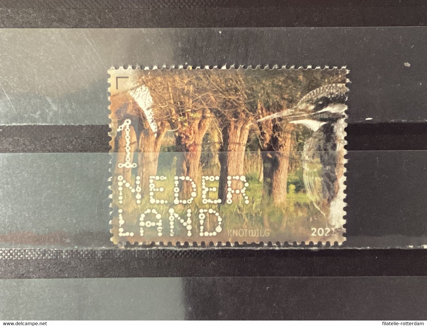 Nederland / The Netherlands - Knotwilg 2021 - Used Stamps