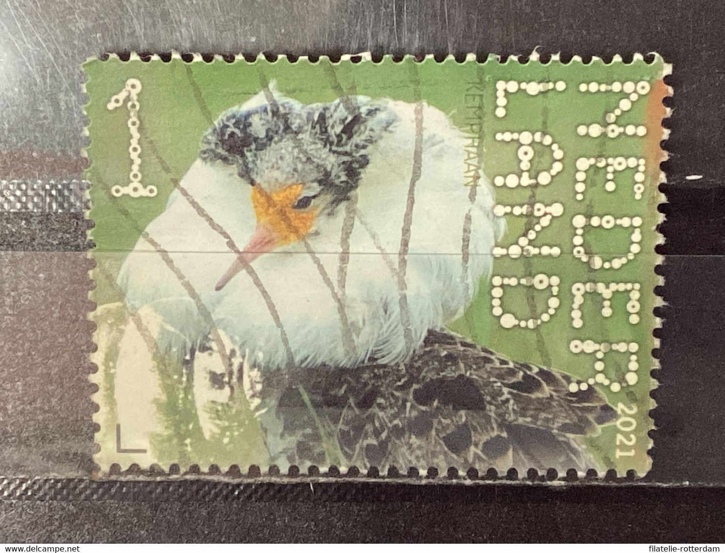 Nederland / The Netherlands - Kemphaan 2021 - Used Stamps