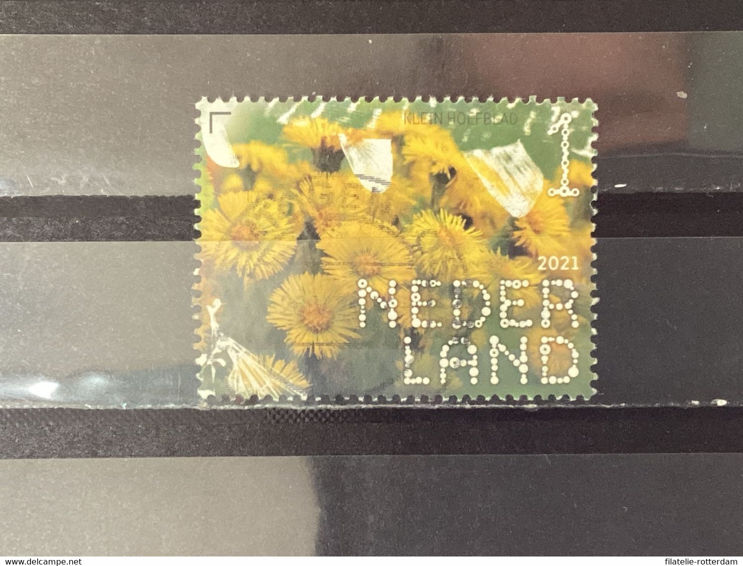 Nederland / The Netherlands - Klein Hoefblad 2021 - Used Stamps