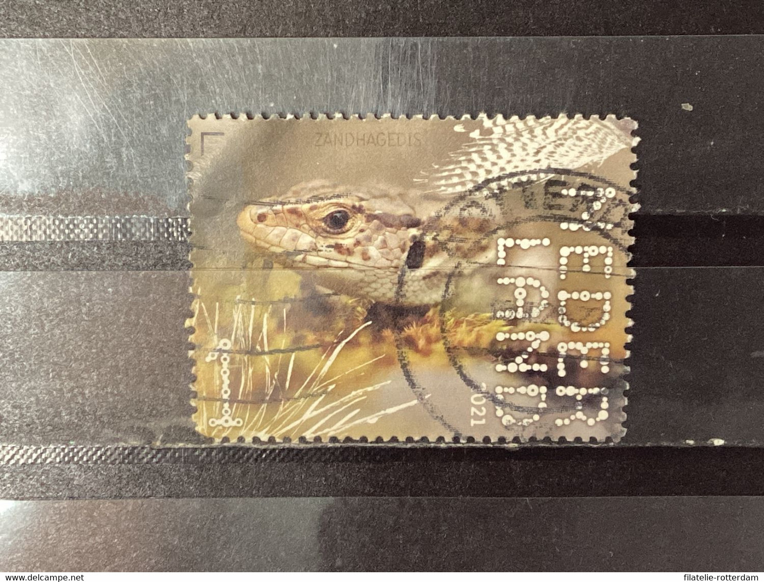 Nederland / The Netherlands - Zandhagedis 2021 - Used Stamps