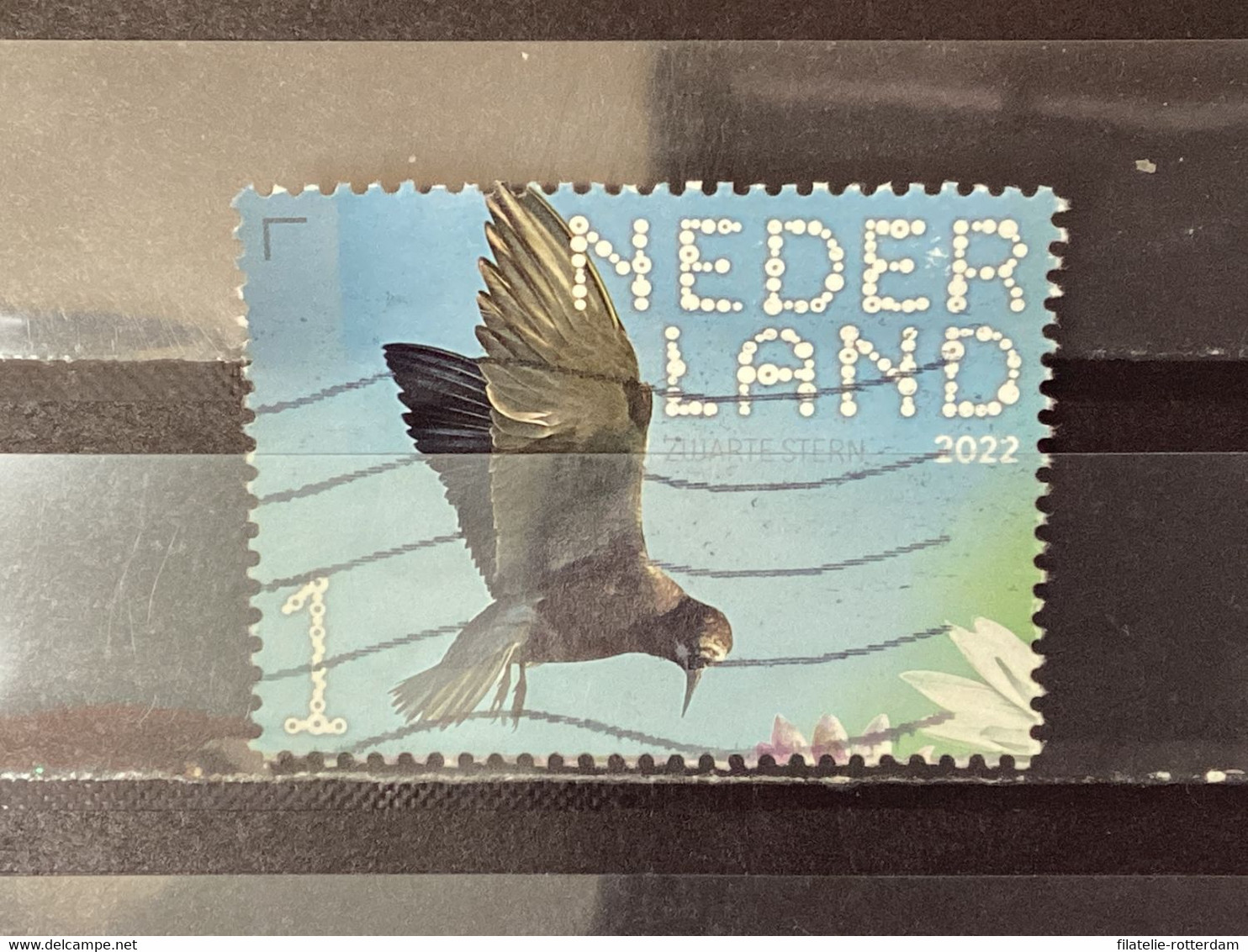 Nederland / The Netherlands - Zwarte Stern 2022 - Used Stamps