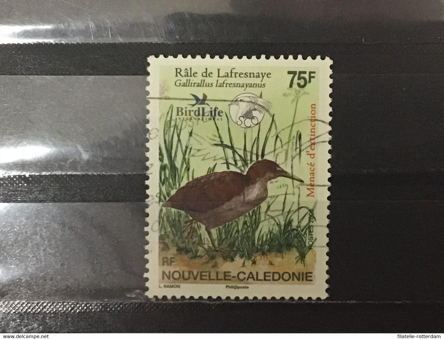 Nieuw-Caledonië / New Caledonia - Vogels (75) 2006 - Usados