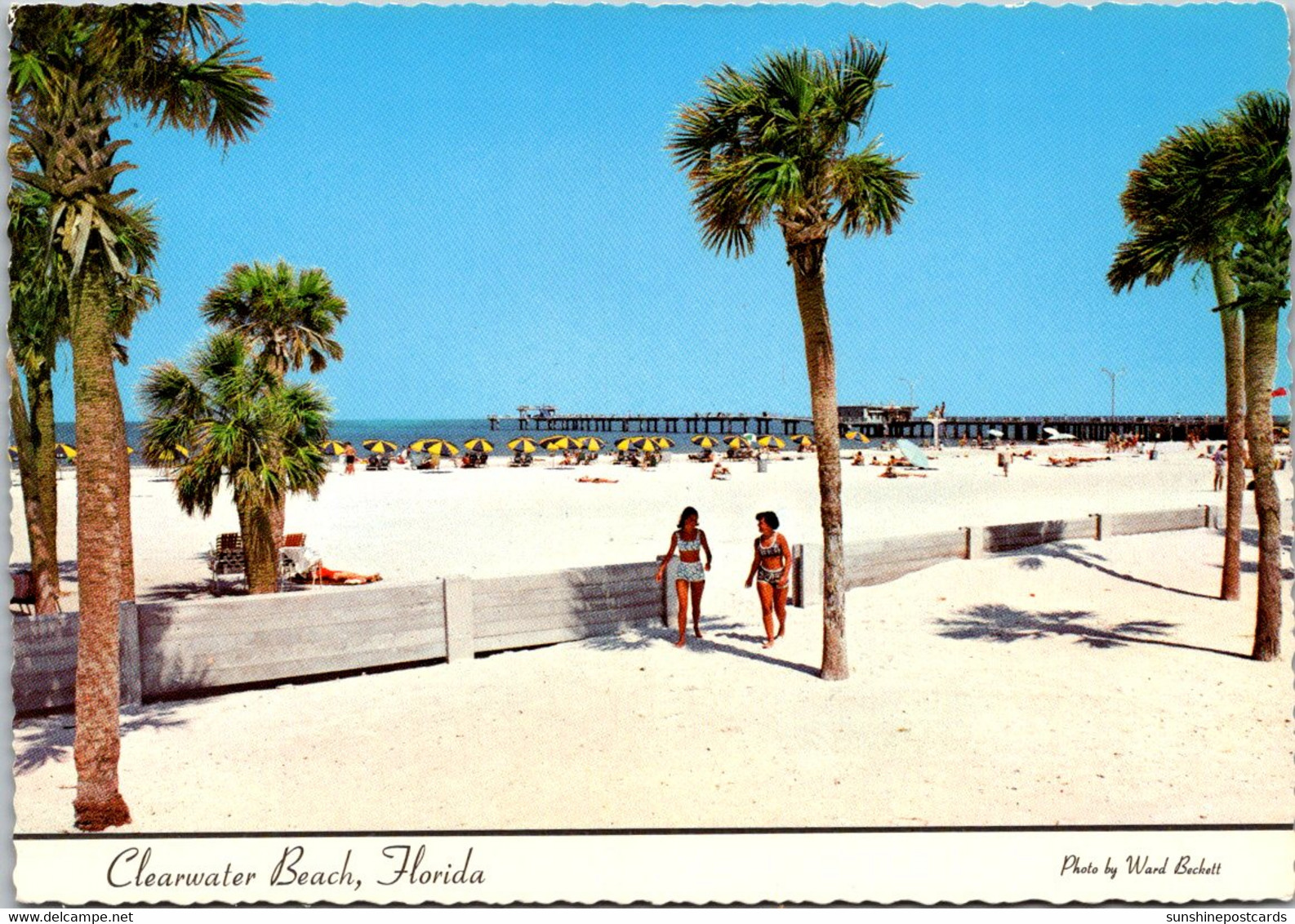 Florida Clearwter Beach View - Clearwater