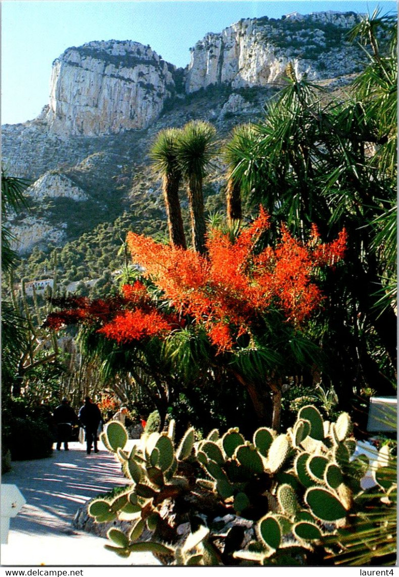 (2 G 29) Monaco - Jardin Exotique - Castus In Flowers - Cactus