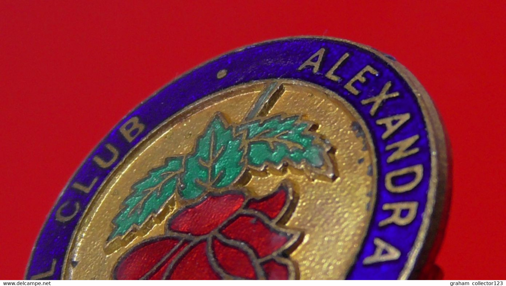 Vintage Enamel And Metal Badge Bowling Bowler Bowls Lawn Bowls Alexandra Bowling & Social Club Association Rose Flower - Bowling