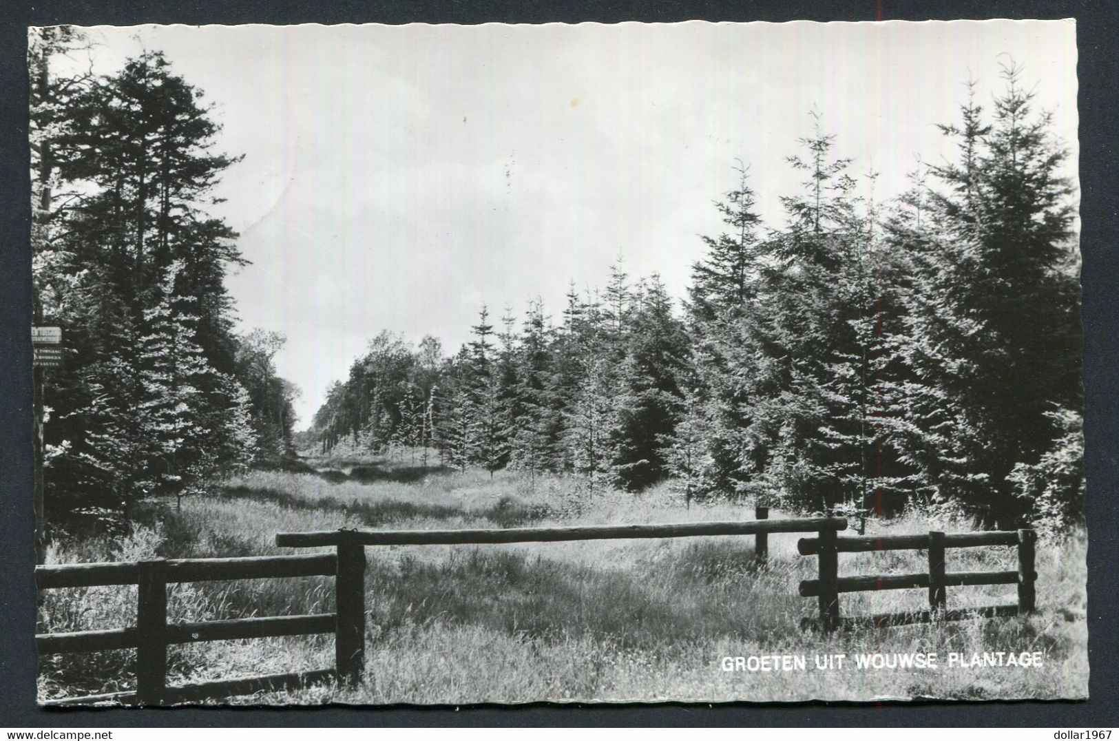 Groeten Uit Wouwse Plantage ( Gem. Roosendaal )  - Used  1970 - 2 Scans For Condition.(Originalscan !!) - Roosendaal