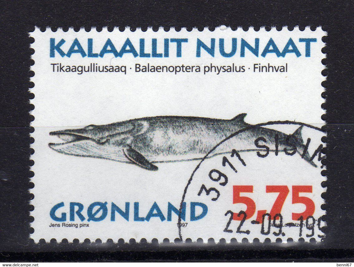 GROENLAND Greenland 1999 Baleine Yv 285 Obl - Gebruikt