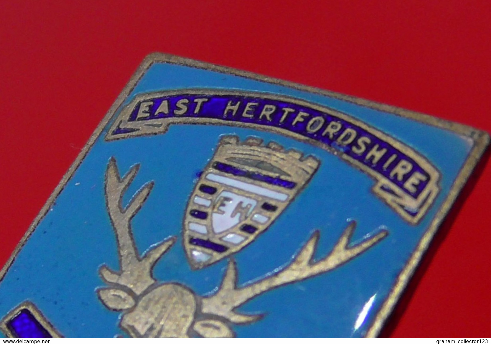 Vintage Enamel And Metal Badge Bowling Bowler Bowls Lawn Bowls East Hertfordshire Bowling Association - Bowling