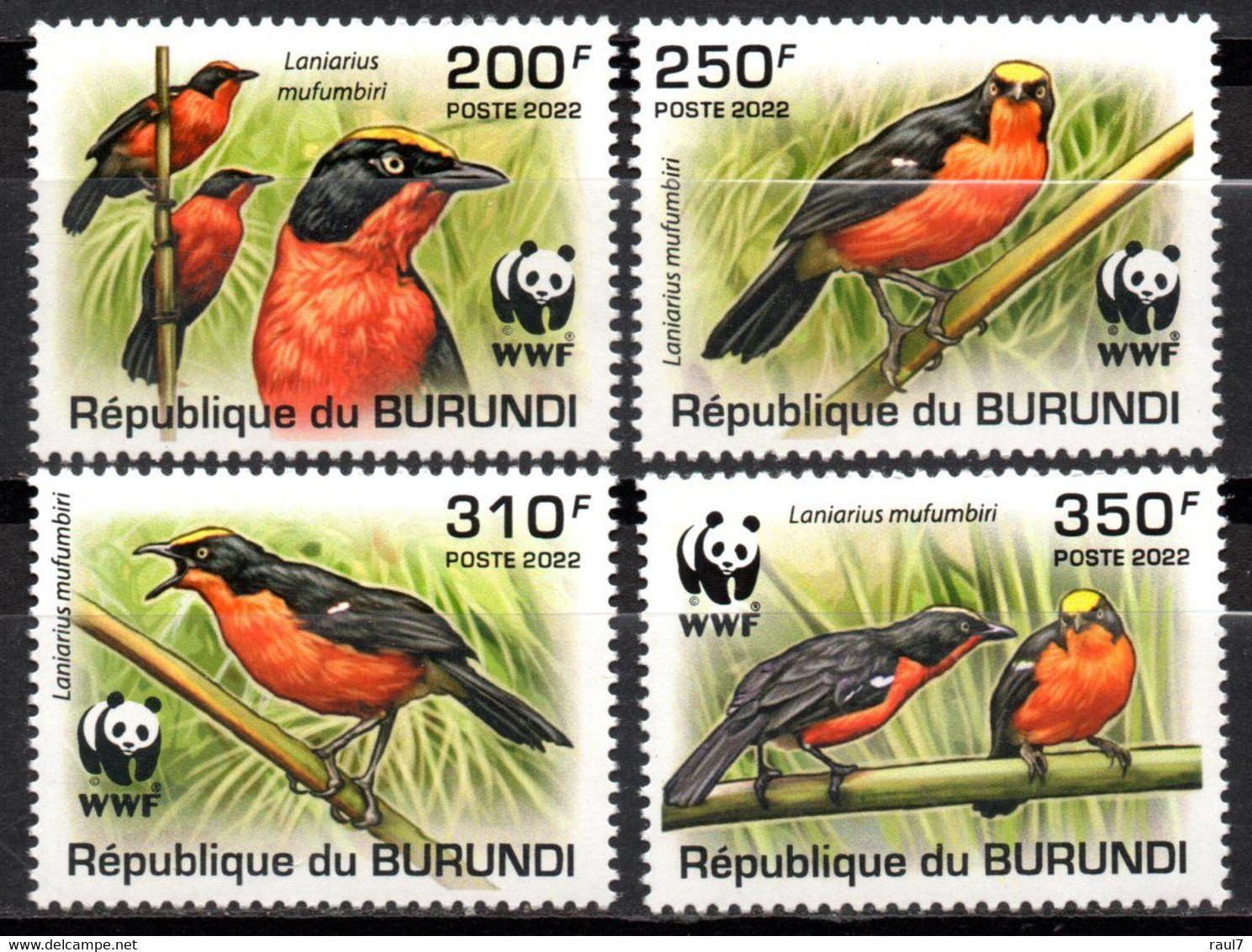 BURUNDI 2022 - Faune En Danger, Wwf, Oiseaux - 4 Val Neufs // Mnh - Ongebruikt