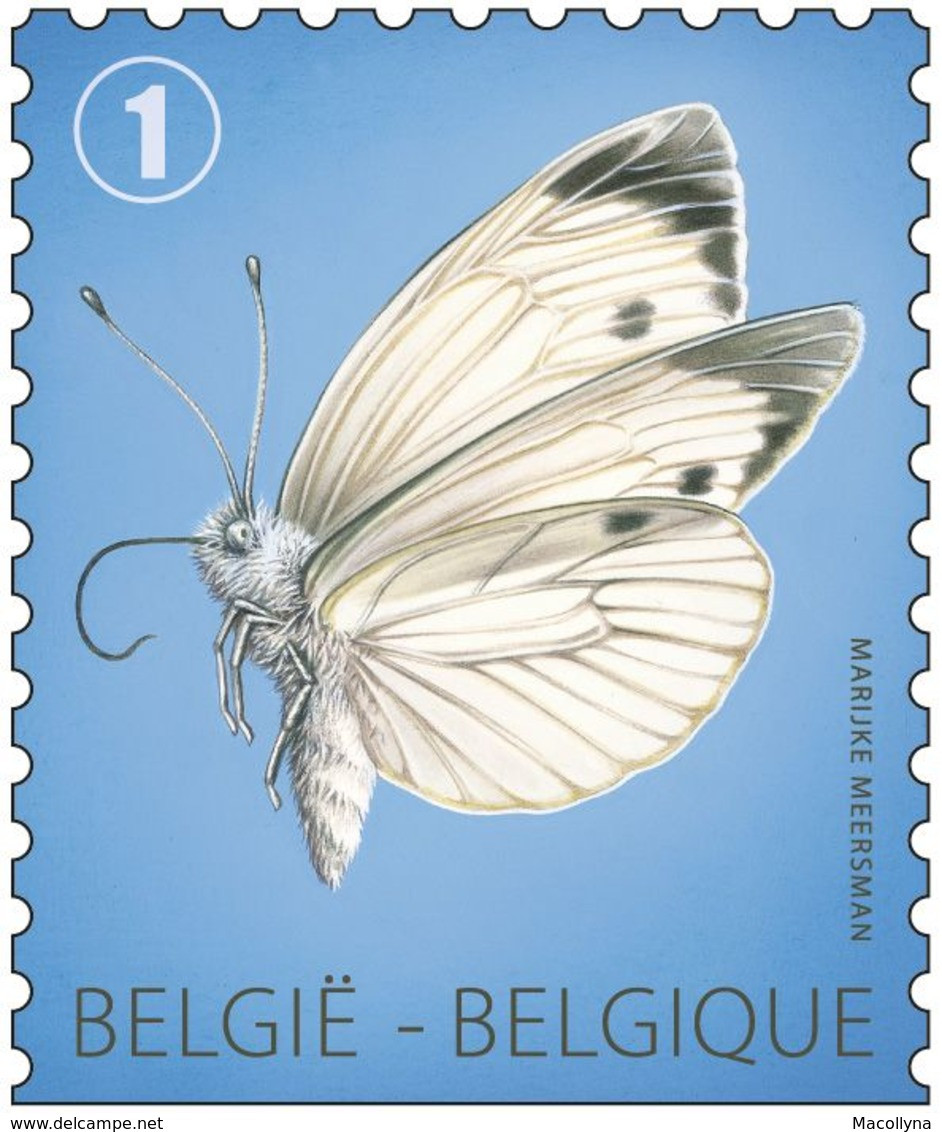 Boekje 130**/ Carnet 130 MNH 4255** / Vlinders - Koolwitje -Butterflies / Papilio Pieris  (1e Opschrift) - Unclassified