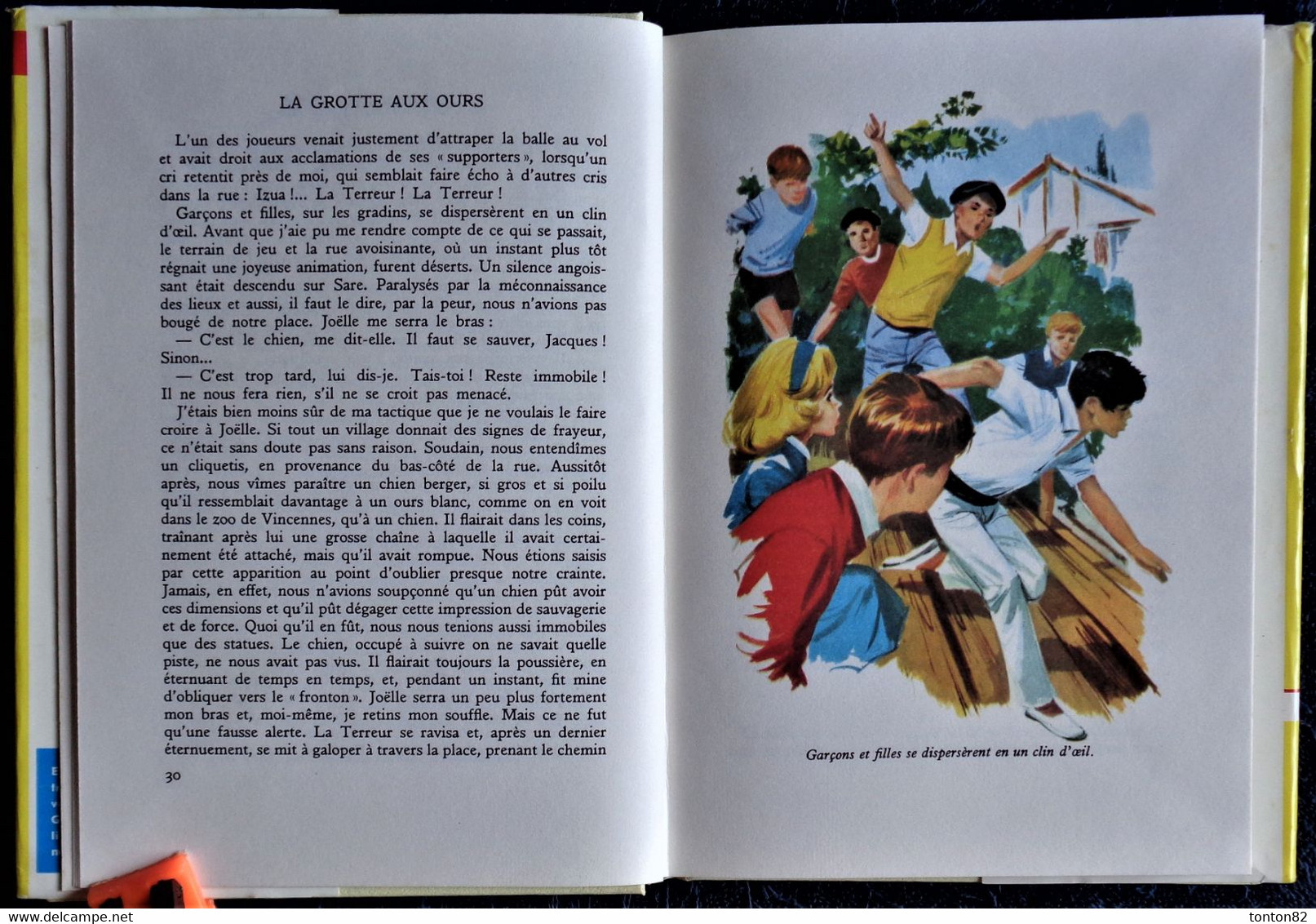 André Massepain - Le Grotte Aux Ours - Rouge Et Or Souveraine - ( 1963 ) . - Bibliotheque Rouge Et Or