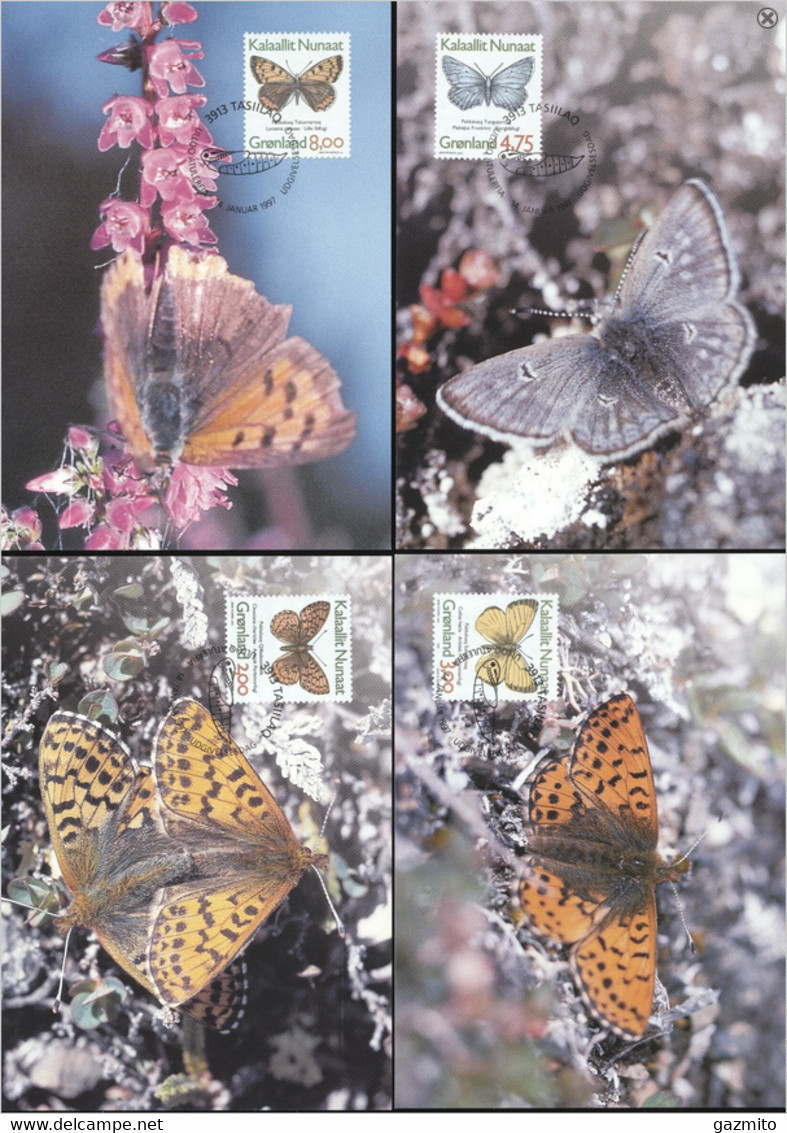 Greenland, 1997, Butterfly, 4maximum - Cartes-Maximum (CM)