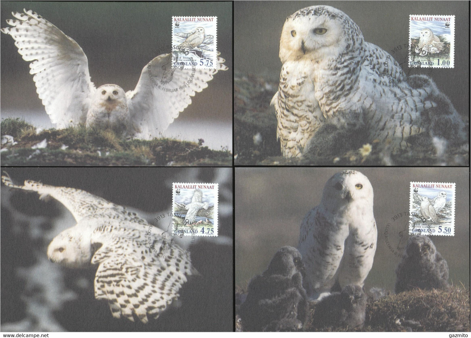 Greenland, 1999, WWF, Owl, 4maximum - Cartes-Maximum (CM)