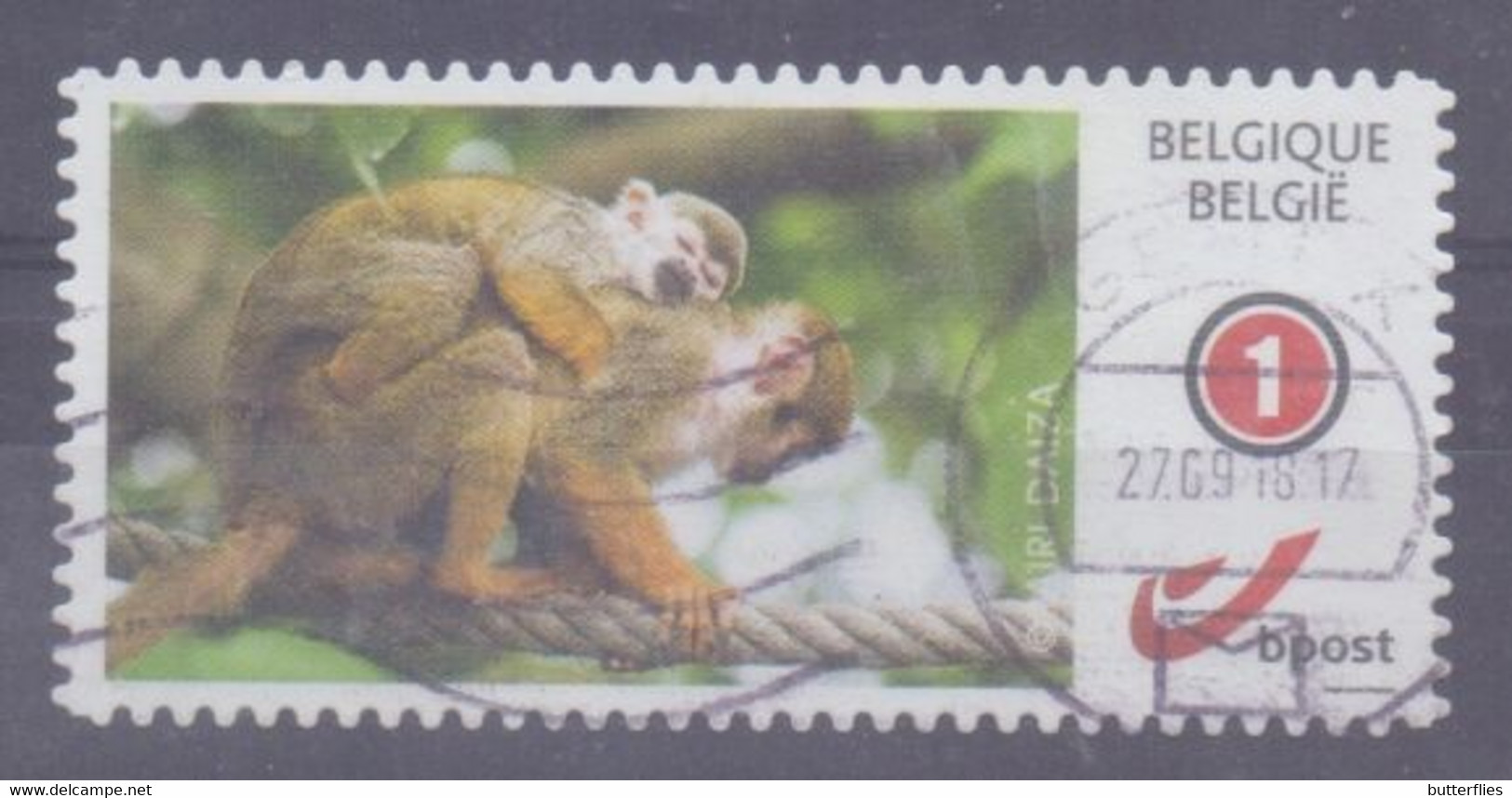 België - Duostamp - Pairi Daiza - Aapjes - Monkeys - Usati