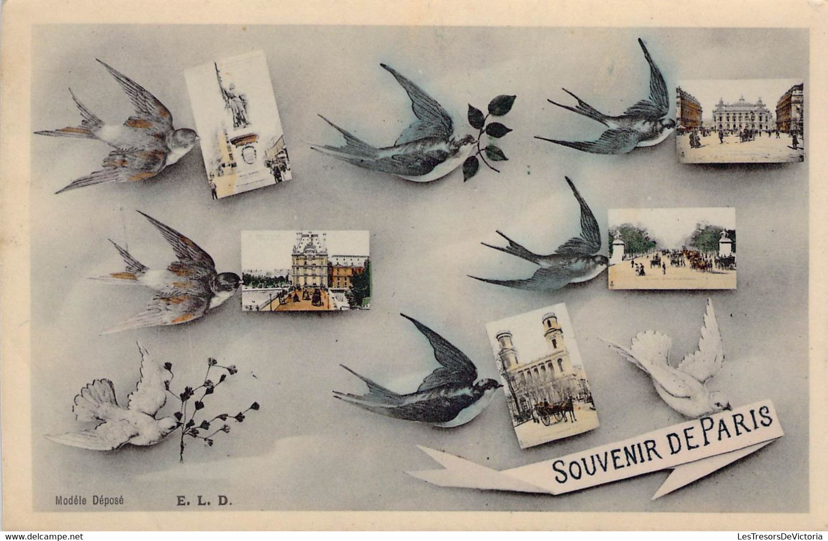 CPA SOUVENIR DE PARIS - Multi-vues Colorisées - Hirondelles - Oiseaux - Greetings From...