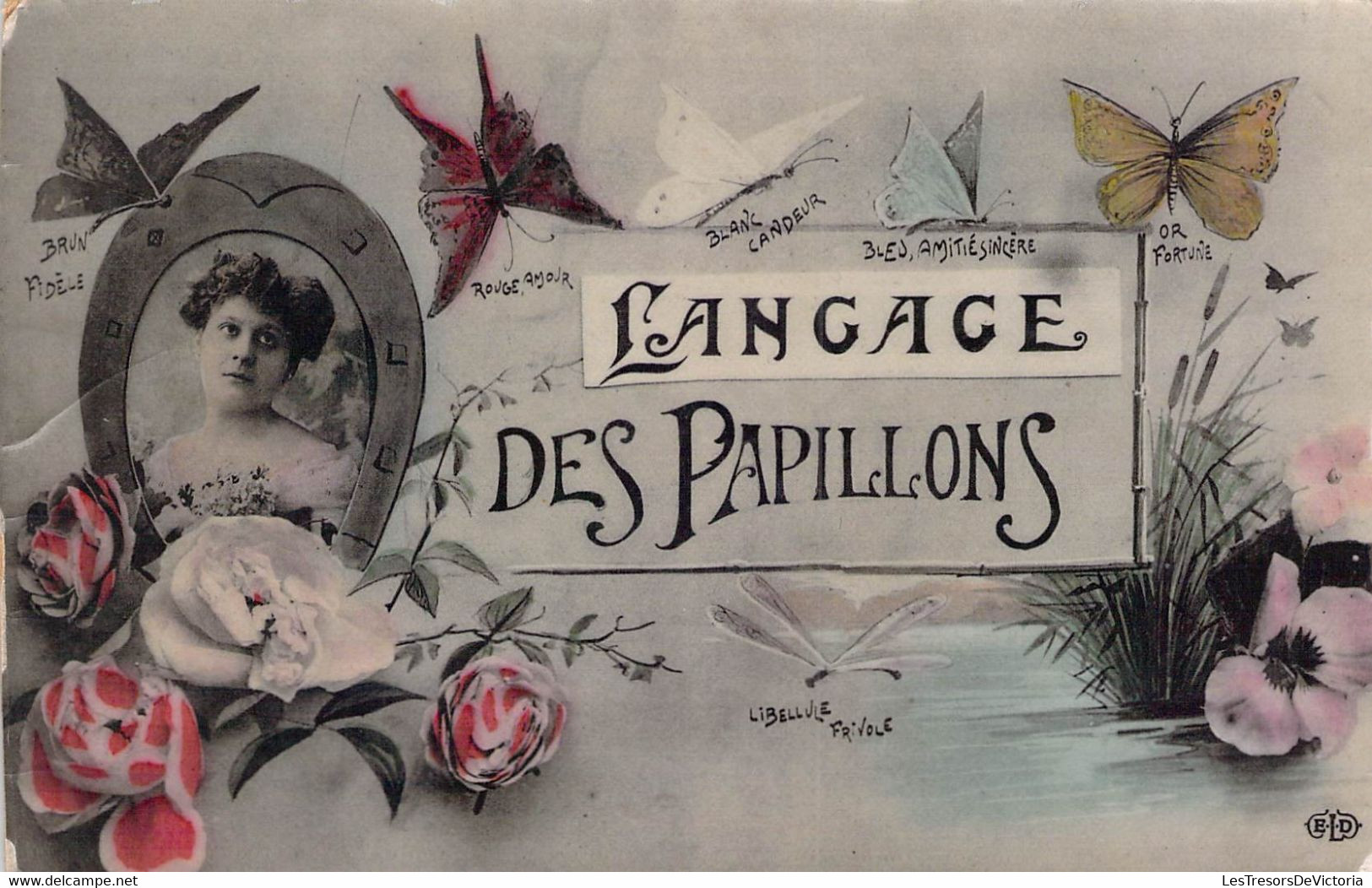 CPA  - Langage Des Papillons - Colorisée - Farfalle