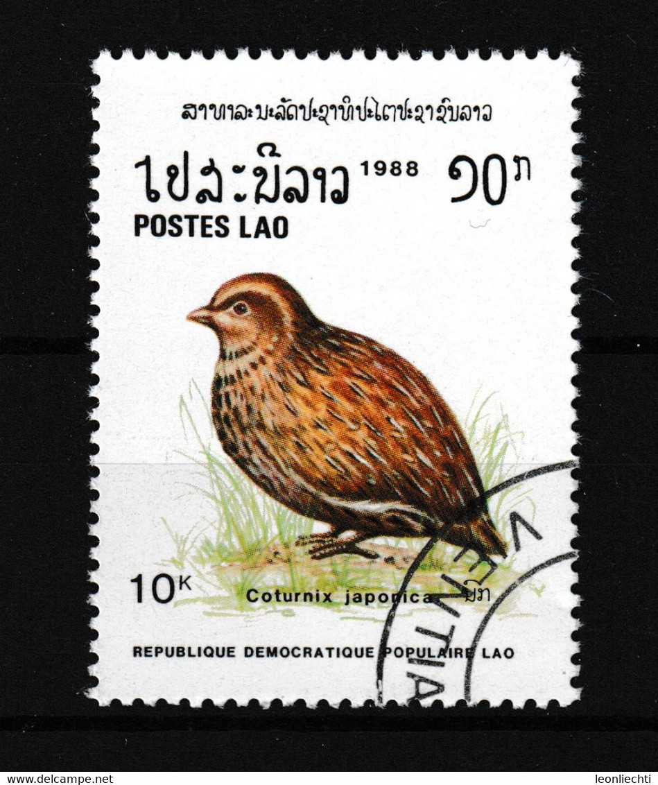 1988 Laos, Mi: 1083° / Y&T: 866° Coturnix Japonica - Japanwachtel ( Fasanenartig (Phasianidae), - Grey Partridge