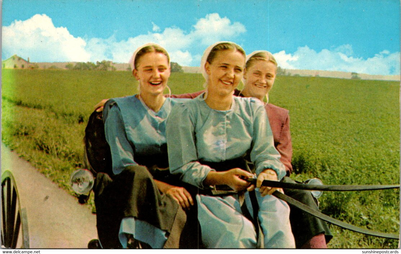 Pennsylvania Greetings From Dutch Country Amish Girls Enjoying Buggy Ride - Lancaster