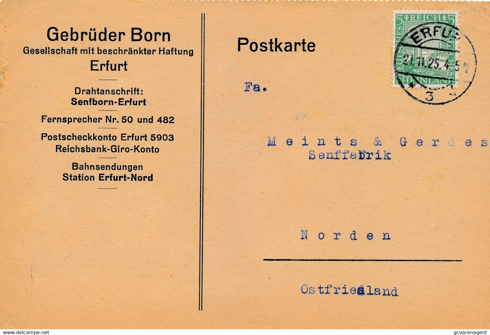 ERFURT - BEDRIEFSCARTE - GEBRÜDER BORN - GESELLSCHAFT MIT BESCHRÄNKTER HAFTUNG  -   2 SCANS - Norden