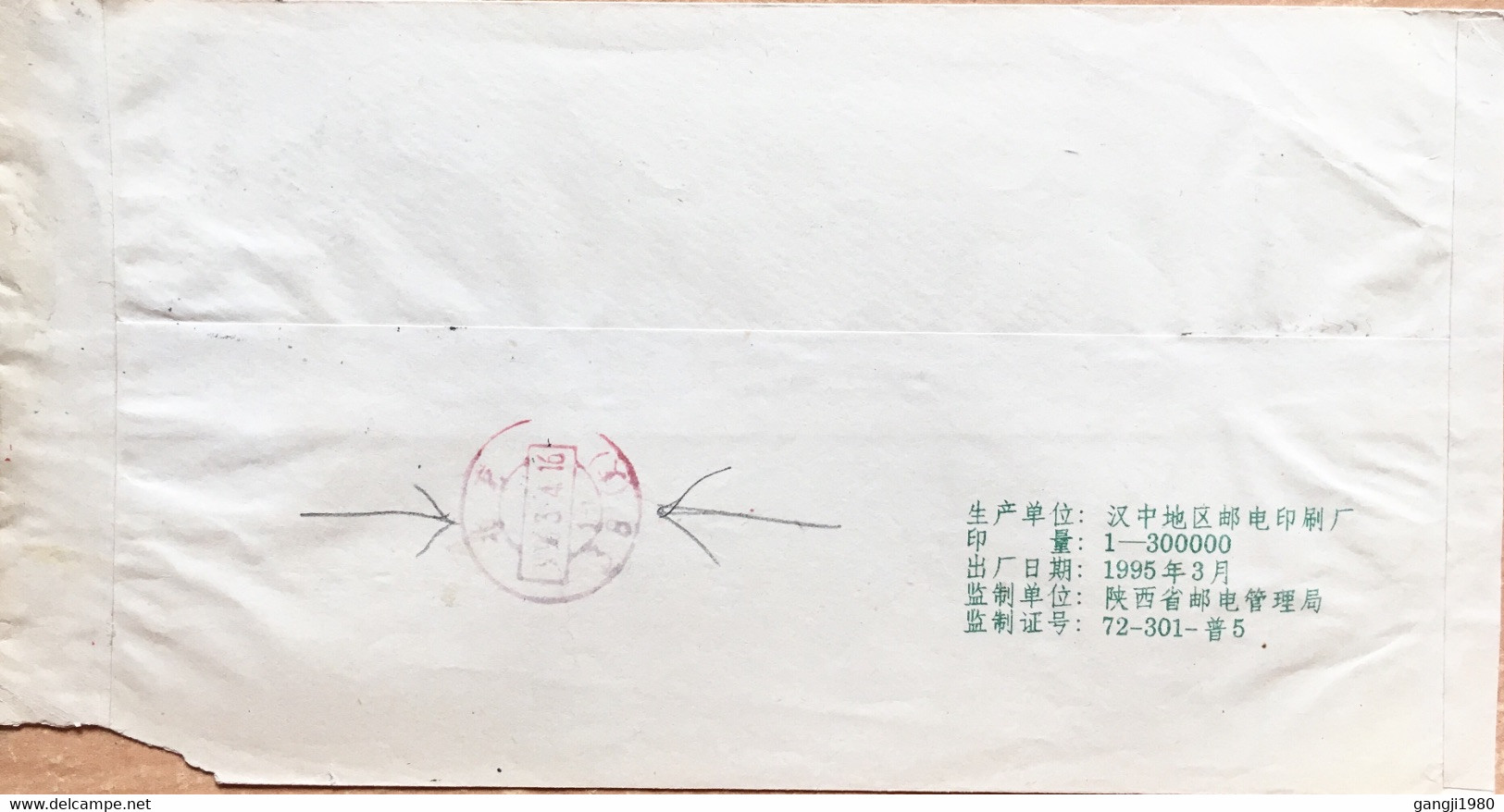 CHINA 1996, PANDA EATING GRASS ILLUSTRATE COVER, PRINTED BY HANZHONG POST, NATURE, RIVER, MOUNTAIN, FOREST STAMP USED CO - Cartas & Documentos