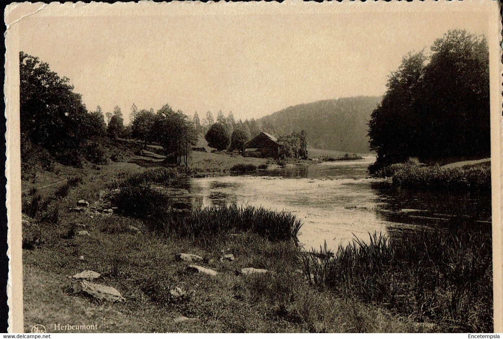 CPA-Carte Postale Belgique  Herbeumont La Semois En Aval Du Moulin Willaines VM54029 - Herbeumont