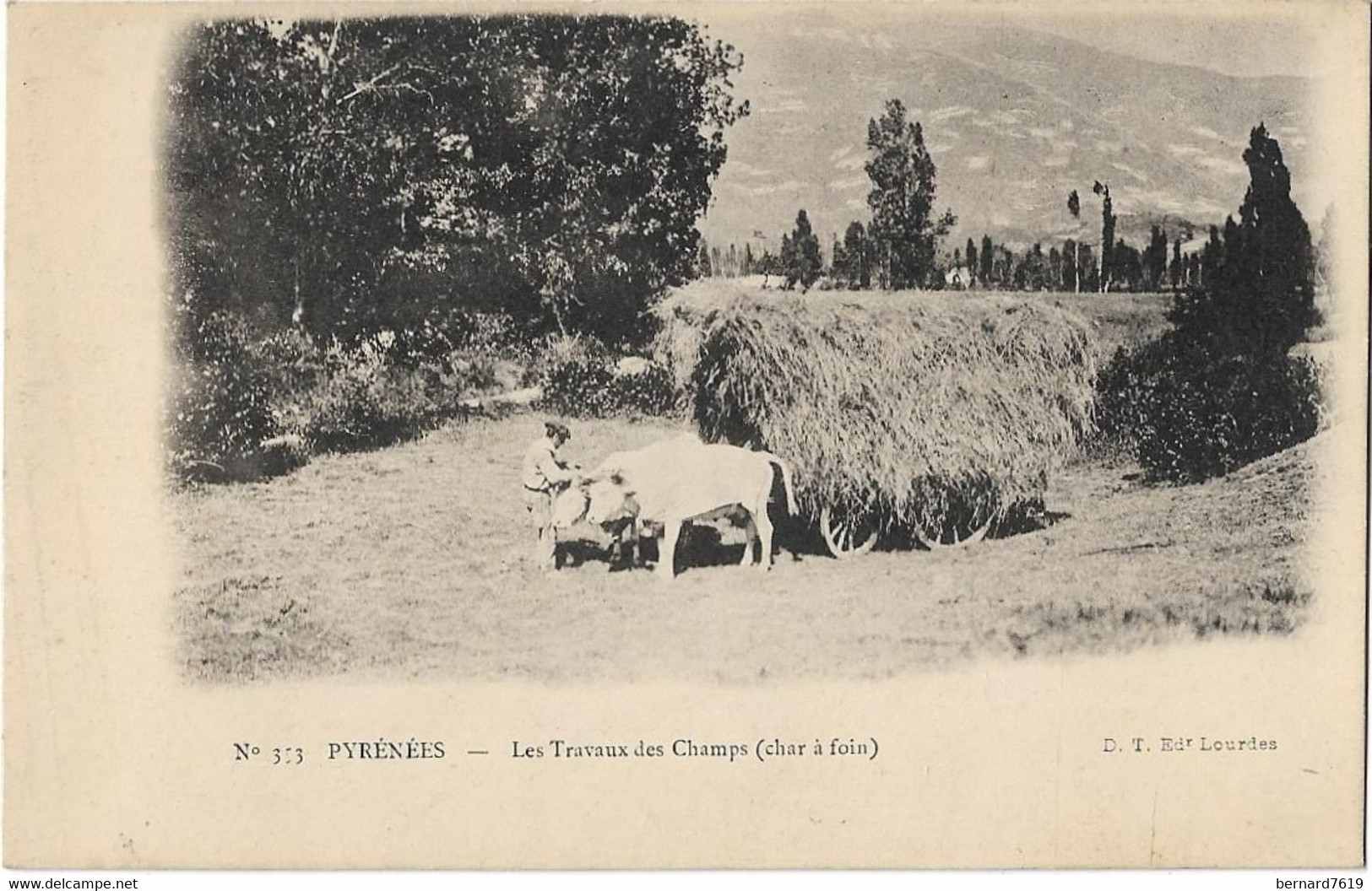 Agriculture   - Pyrenees -  Les Travaux  Des Champs  - Char A Foin - Dt Lourdes - Attelages