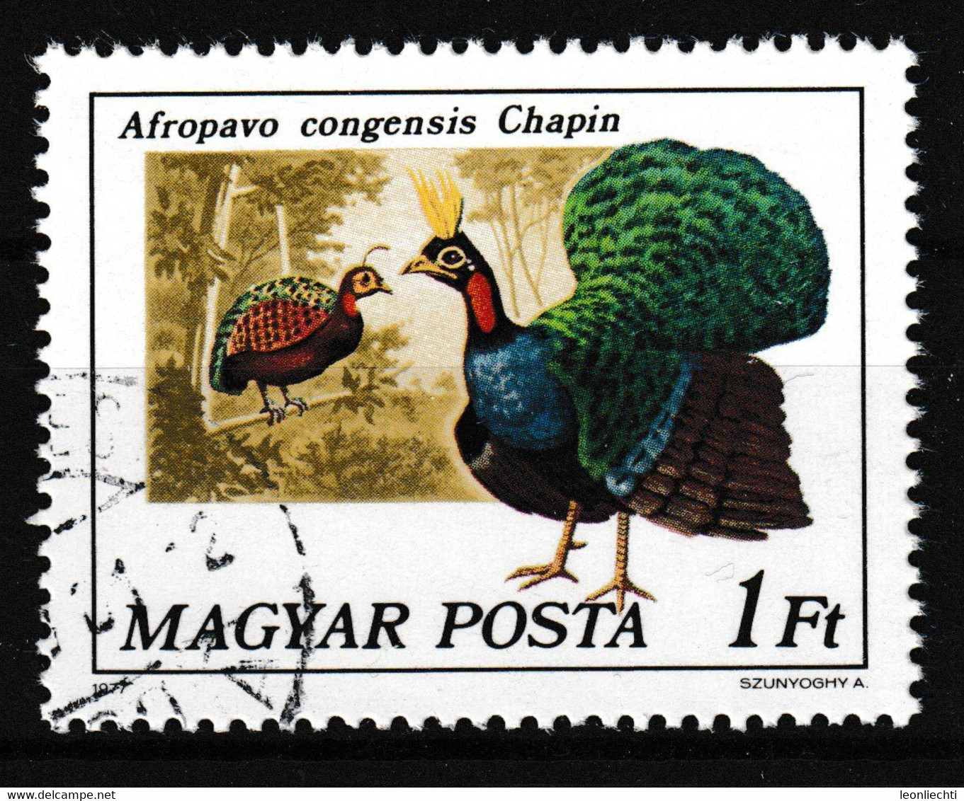 1977 Ungarn - Magyar, Y&T: 2550°, Kongopfau - Afropavo Congensis Chapin - Peacocks