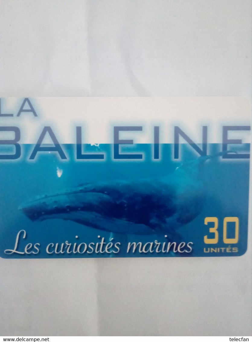 POLYNESIE PF119 LA BALEINE WHALE 30U UT - Polynésie Française